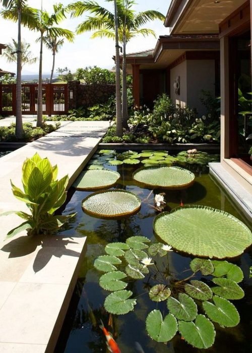 WhatsApp Image 2024-12-20 at 6.10.05 PM (1)